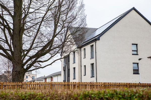 Side view of Royston flats and large tree